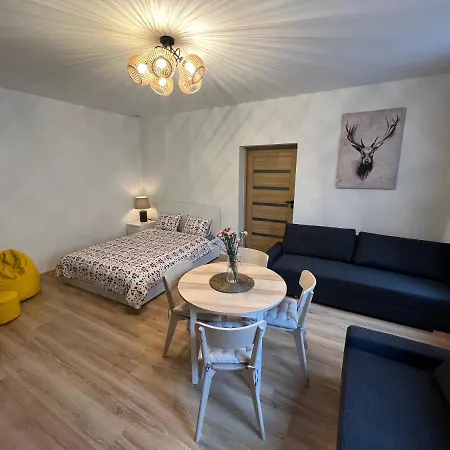 Wood Apartment Katowice Exterior photo